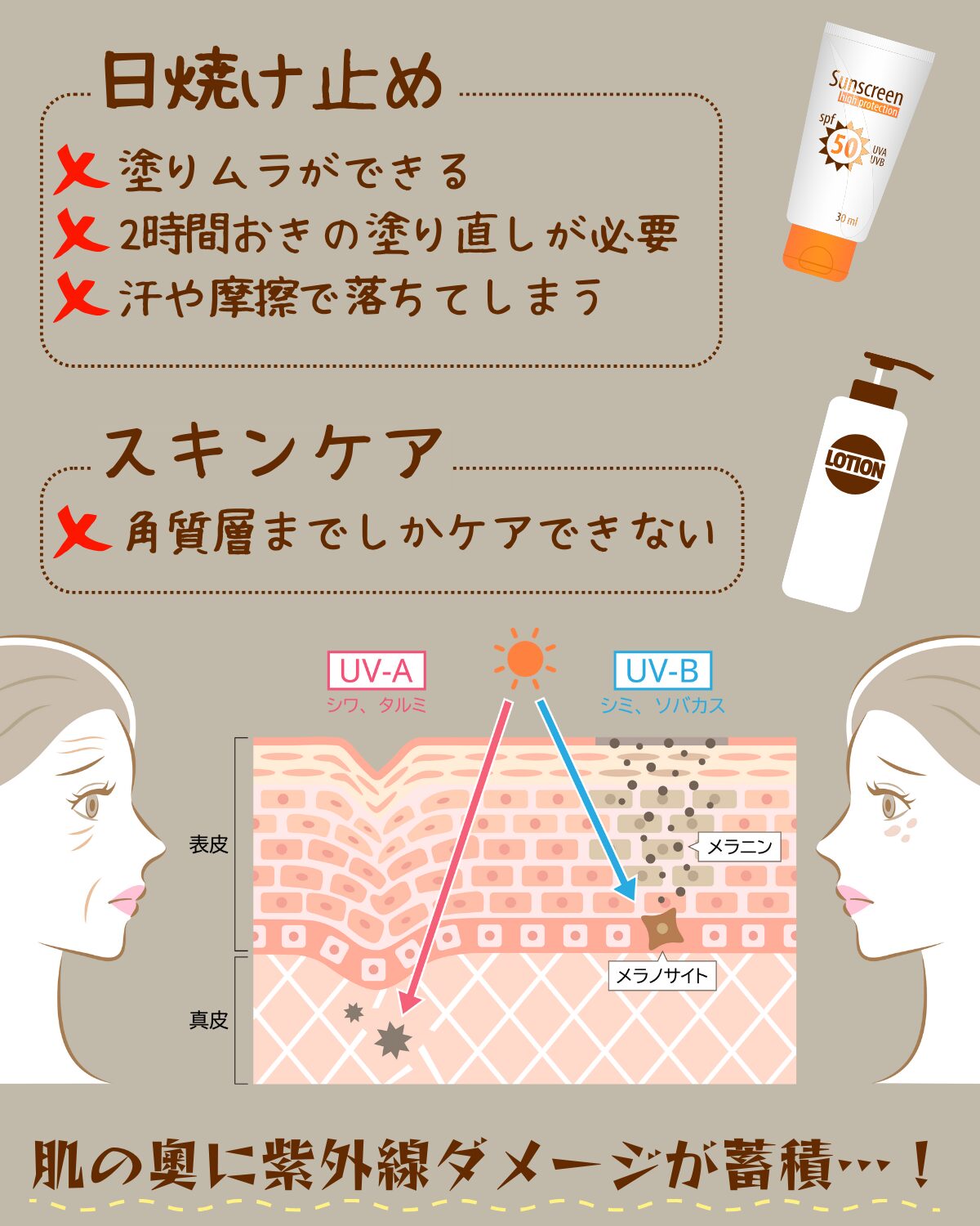 シミ・シワの原因